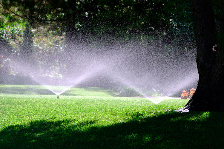 Irrigation system on landscaped yard.